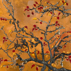 日本特黄A级高清免费大片
